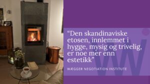 Skanidnaviske konsepter